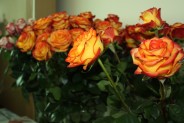 Róże dla pań (galeria: 10)