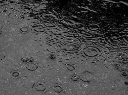 deszcz (galeria: 1)