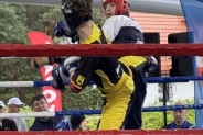 (galeria: 11)