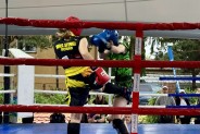 (galeria: 10)