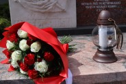 (galeria: 6)