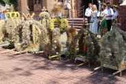 (galeria: 6)