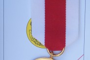 Medal za zasługi dla pożarnictwa (galeria: 5)