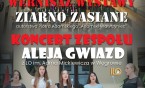 Koncert zespołu Aleją Gwiazd z I LO w im. A. Mickiewicza w Węgrowie połączony z wernisażem wystawy.