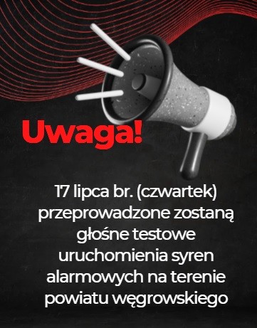 (galeria: 1)